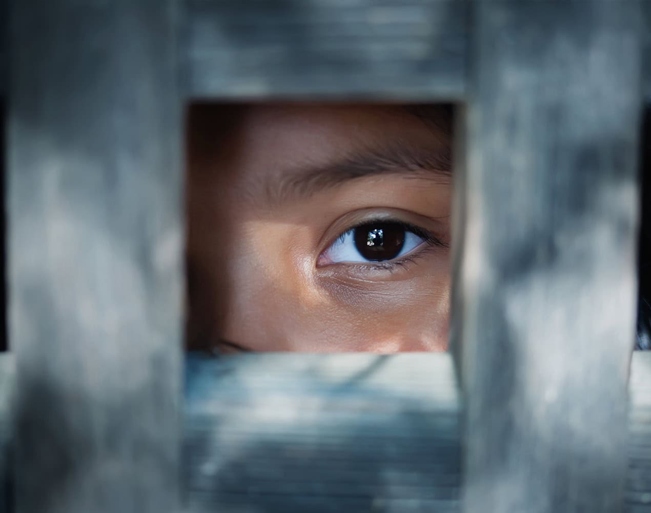 Child Looking Through Wooden Gap