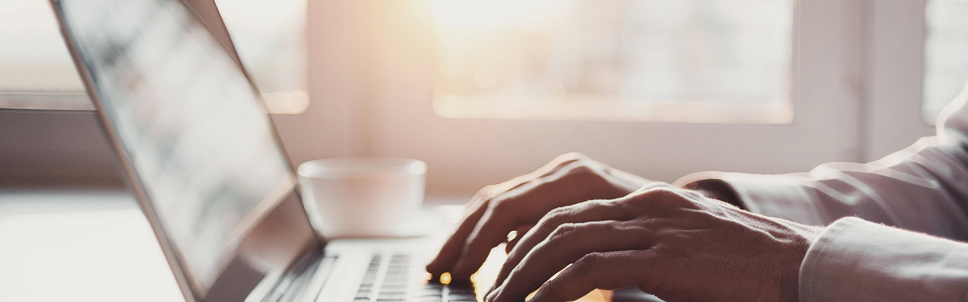 Typing On Laptop Sunlight Workspace