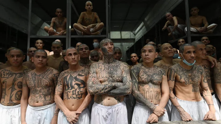 Ms13 4